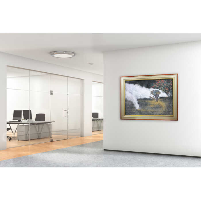 �礭�������� �礭���� ��̾��Ȥΰ���ʪ ���� ��¼���� ���ܲ� �ؽ����֤��� �͡� ���� �Ĥ�� Ȫ �������� �� ����Ū ���� ����� ���䤫 ������ ������ �ޤĤ�餳����