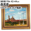 絵画 森真道 油絵・油彩画 『スペイン セコビヤ風景』 宗教 建造物 教会 空 街 風景 外国風景 明るい 爽やか 生き生き 一点物 美術品 アート もりしんどう