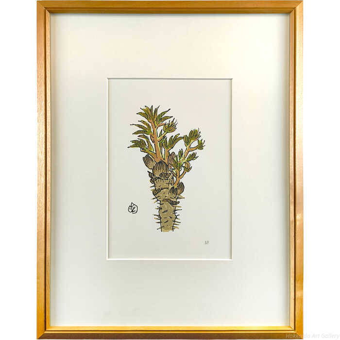 ����ľ�� ���륯�����꡼�� �ǲ� �إ���β�� ����