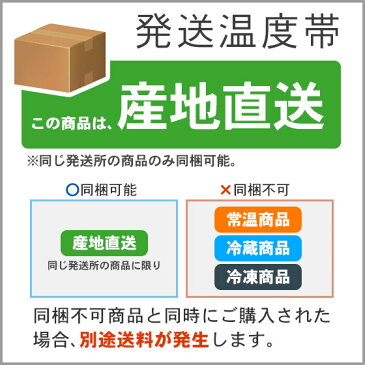 夕張メロン 夕張市農協共撰品 秀品中玉(約1.3kg) 2玉 【送料無料】【産地直送】【お中元】【お中元ギフト】【着日指定可】【のし対応】【代引不可】 北海道 お土産 おみやげ