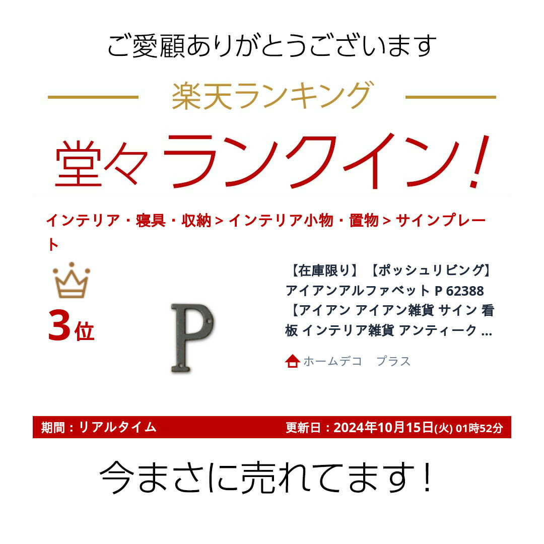 【在庫限り】【ポッシュリビング】アイアンアルファベット P 62388【アイアン アイアン雑貨 サイン 看板 インテリア雑貨 アンティーク ネームプレート 切り文字 オーナメント 英字 ガーデニング DIY】【ネコポス可】【インボイス対応】