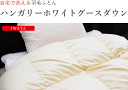 IWATA 羽毛布団 ハンガリーホワイトグースダウン90% 【SL】【送料無料】【自然素材】【綿側地】【アレルギー対策】【日本製】