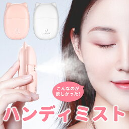 ハンディミスト 【店内全品10％OFF！朝10時まで！】 ハンディミスト ハンディ 加湿器 ミニ 加湿器 化粧水 加湿器 保湿 補水 オフィス 加湿器 おしゃれ 加湿器 アロマ 軽量 ネコミミ かわいい 暑さ対策 あす楽 送料無料