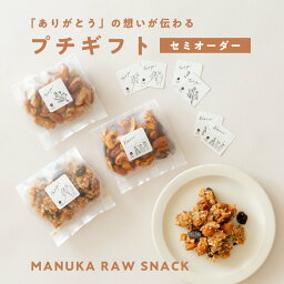 ハニーマザー ナッツ 最大2000円OFFクーポンセミオーダー焼き菓子 - MANUKA RAW SNACK（グラノーラ、キャラメル、スパイシー） お菓子 スイーツ ナッツ グラノーラ 小麦 乳 卵 砂糖 不使用 ローフード マヌカハニー ミックスナッツ ギルトフリー