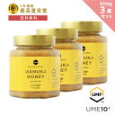 全品P5倍マヌカハニー UMF10+ 500g 3個セット 