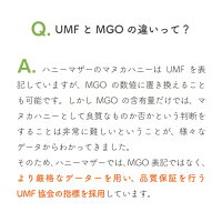 UMGとMGOの違い
