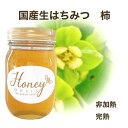 【新蜜入荷 】 国産はちみつ 柿 500g 