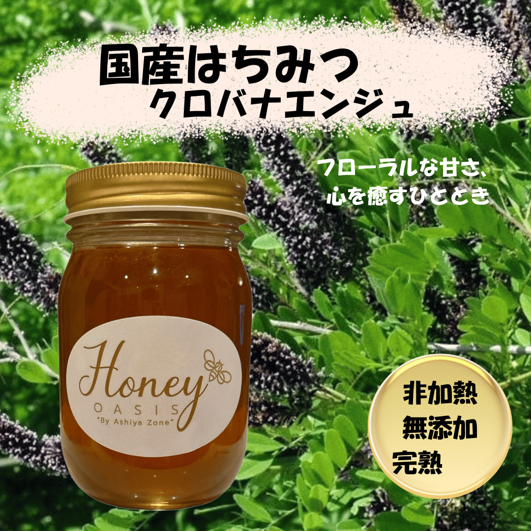 \ランキング1位獲得/ 国産はちみつ クロバナエンジュ 500g はちみつ 国産 非加熱はちみつ 純粋はちみつ ハチミツ 完熟 無農薬 はちみつレモン はちみつ紅茶 生はちみつ 天然 お取り寄せグルメ 美容 健康 抗菌 はちみつ 国産 抗菌
