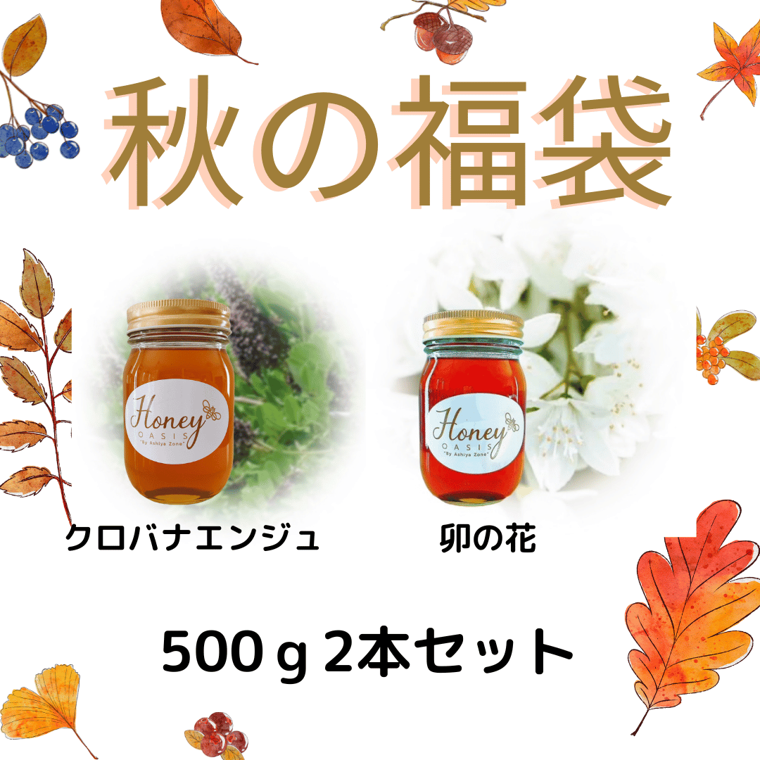 【福袋】ランキング1位獲得 5000円ポッキリ はちみつ 500g2本セット 1kg 国産はちみつ きはだ 卯の花 生はちみつ非加熱 無農薬 完熟 ヘルシー はちみつレモン はちみつ紅茶 ハチミツ 蜂蜜 お取り寄せグルメ お得 はちみつ福袋のサムネイル
