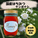 \ランキング2位獲得/国産はちみつ ケンポナシ 500g 非加熱はちみつ 無添加はちみつ 純粋はちみつ 蜂蜜 ハチミツ 非加熱 無添加 国産 母の日 はちみつ紅...
