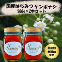 国産はちみつ ケンポナシ 500g 2本セット 1000g 非加熱はちみつ 無添加はちみつ 純粋はちみつ 蜂蜜 ハチミツ 非加熱 無添加 国産 母の日 はちみつ...