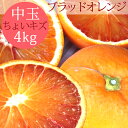 冷蔵発送 国産ブラッドオレンジ 性格美人(キズ) 中玉 4kg ◆ 愛媛県 大三島 お取り寄せ 国産 みかん 蜜柑 柑橘 愛媛み…