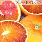 国産ブラッドオレンジ 性格美人(キズ) 小玉 4kg ◆ 愛媛県 大三島 お取り寄せ 国産 みかん 蜜柑 柑橘 愛媛みかん 果物 フルーツ 訳あり わけあり グルメ