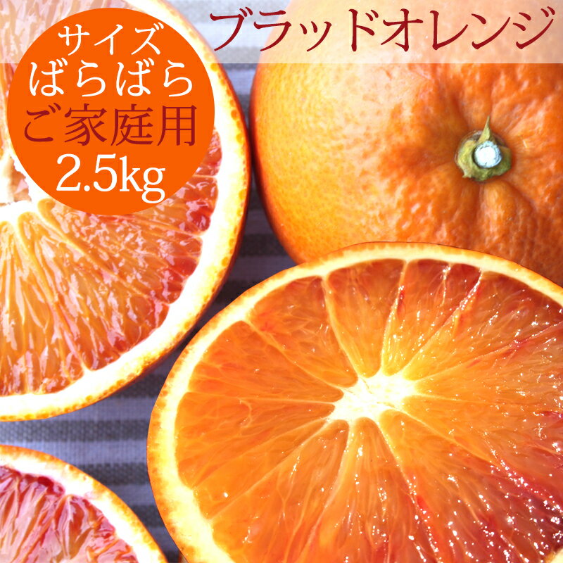 冷蔵発送 国産ブラッドオレンジ 家