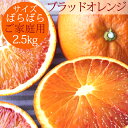 冷蔵発送 国産ブラッドオレンジ 家族想い(家庭用) サイズばら 2.5kg ◆ 愛媛県 大三島 お取り寄せ 国産 みかん 蜜柑 …