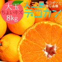 送料無料 デコカン 性格美人(キズ) 大玉 8kg ◆ 愛媛県 大三島 お取り寄せ 国産 みかん 蜜柑 柑橘 愛媛みかん 果物 フルーツ 訳あり わけあり グルメ