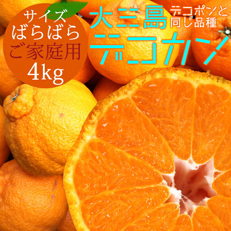 全国お取り寄せグルメ食品ランキング[はっさく(121～150位)]第132位