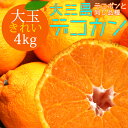 冷蔵発送 送料無料 デコカン 大和撫子(きれい) 大玉 4kg ◆ 愛媛県 大三島 お取り寄せ 国産 みかん 愛媛みかん 果物 フルーツ 供物 ギフト 贈答用 プレゼント 贈り物 グルメ お中元