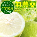 ポイント5倍【愛媛県大三島産】無農薬レモン【サイズバラ2.5キロ】 国産レモン 訳あり ワケあり わけあり レモン れもん 訳あり果物 国産 無農薬 柑橘 果物 くだもの フルーツ 愛媛 愛媛県 産 家庭 家庭用 自宅 自宅用 お取り寄せ ホリ田ヤ p5