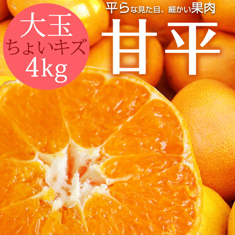 ̵ ʿ ()  4kg  ɲ 绰   ߤ ̪  ɲߤ ʪ ե롼  櫓 