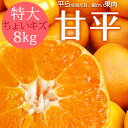 早割10%OFF予約 ポイント5倍 甘平 送料無料 愛媛県大三島産 かんぺい 特大8キロ キズ みかん 訳あり わけあり みかん ミカン 蜜柑 愛媛みかん 愛媛ミカン えひめみかん 国産 果物 フルーツ お取り寄せ ホリ田ヤ p5