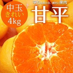 https://thumbnail.image.rakuten.co.jp/@0_gold/horitaya-sima/images/kanpei/kanpei_kitem_m4.jpg