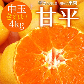 送料無料 甘平 大和撫子(きれい) 中玉 4kg ◆ 愛媛県 大三島 お取り寄せ 国産 みかん 愛媛みかん 果物 フルーツ 供物 ギフト 贈答用 プレゼント 贈り物 グルメ