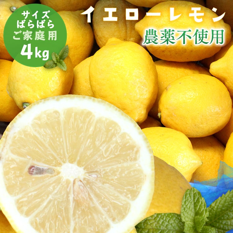 無農薬レモン 4kg 愛媛県産