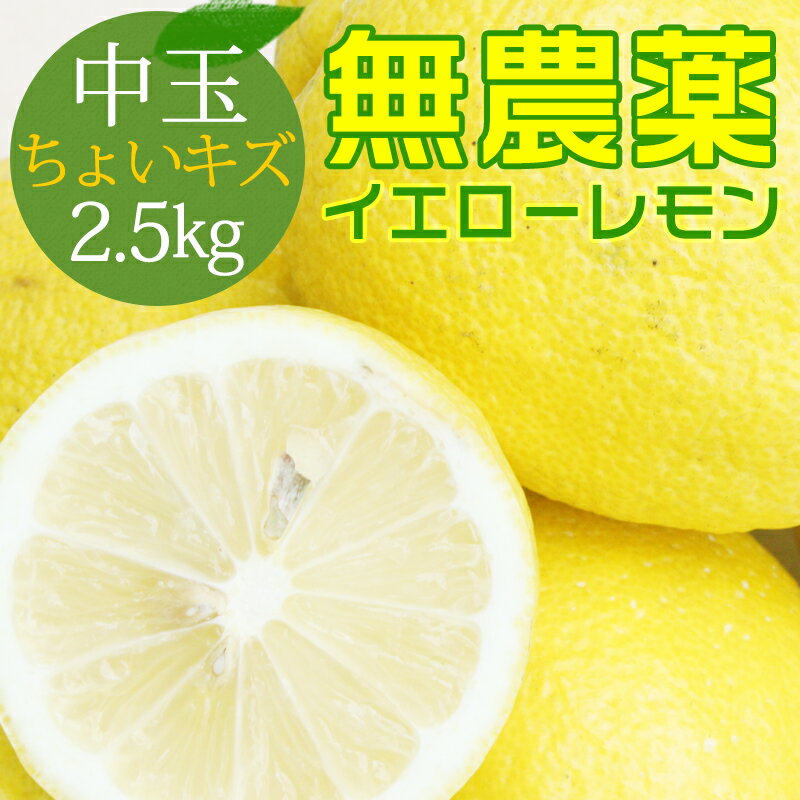 ポイント5倍 【愛媛県大三島産】無農薬レモン【中玉2.5キロ（約18〜23玉）】キズ 訳あり ワケあり わけあり 国産レモン・ホリ田ヤ 訳あり レモン p5