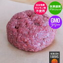 グラスフェッドビーフ 最高品質 低脂肪 赤身 ひき肉 牛肉 100% 牧草牛 冷凍 300g 高品