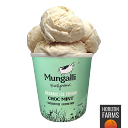 有機 JAS オーガニック ナチュラル アイスクリーム ミント チョコチップ オーストラリア産 475ml 冷凍 アイス ラクトースフリー グルテンフリー お菓子 デザート スイーツ パイント サイズ 人工甘味料不使用 濃厚