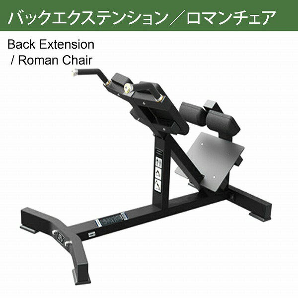 【AnyAgeFitness】バックエクステンション／ロマンチェア マシン（別売：ウェイトプレート・ダンベル・ゴムマット）