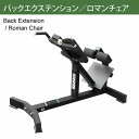 【AnyAgeFitness】バックエクステンション／ロマンチェア マシン（別売：ウェイトプレート・ダンベル・ゴムマット）