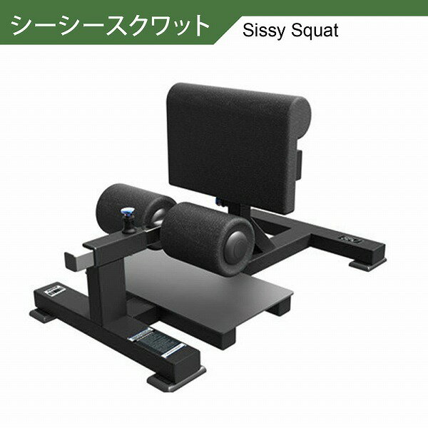 【AnyAgeFitness】シーシースクワット マシン（別売：ゴムマット）