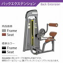 【AnyAgeFitness】バックエクステンション マシン★スタック式トレーニングマシン(別売:ゴムマット)