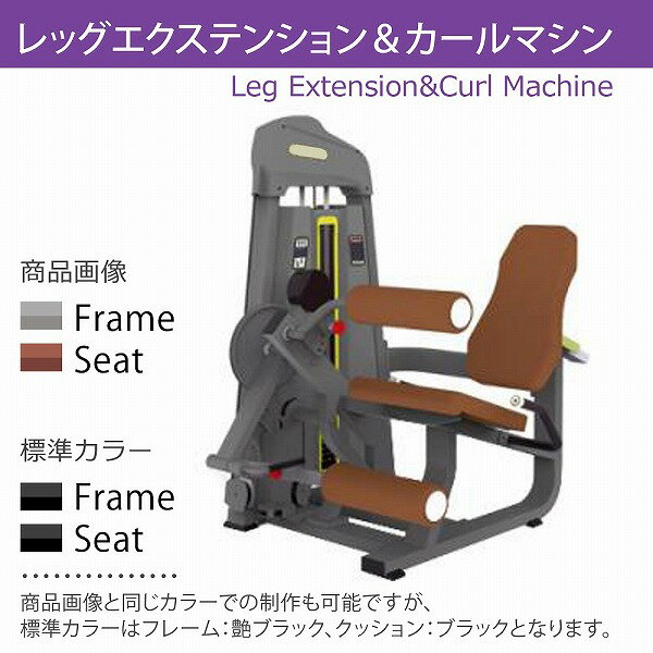 【AnyAgeFitness】レッグエクステンション＆カール マシン★スタック式トレーニングマシン（別売：ゴムマット）