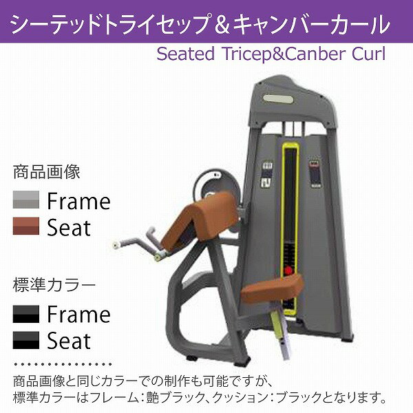 【AnyAgeFitness】シーテッドトライセップ&キャンバーカール マシン★スタック式トレーニングマシン(別売:ゴムマット)