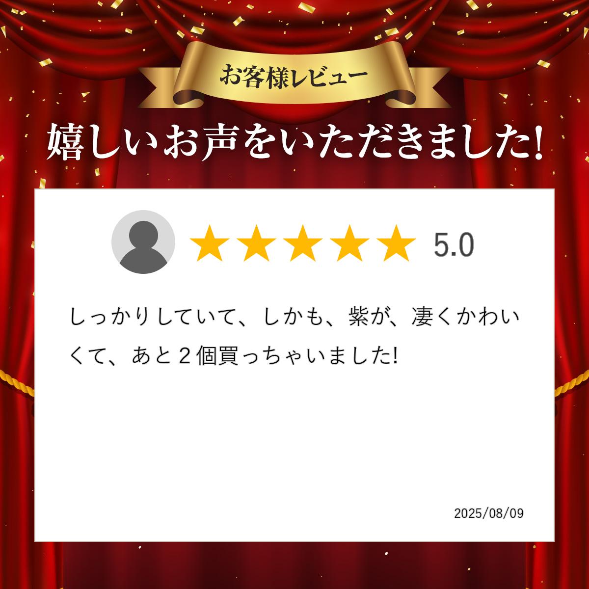 ���� �� �饯���ƥ����顼���å��� ���奨�륫�å� �ѡ��ץ� ������ W927