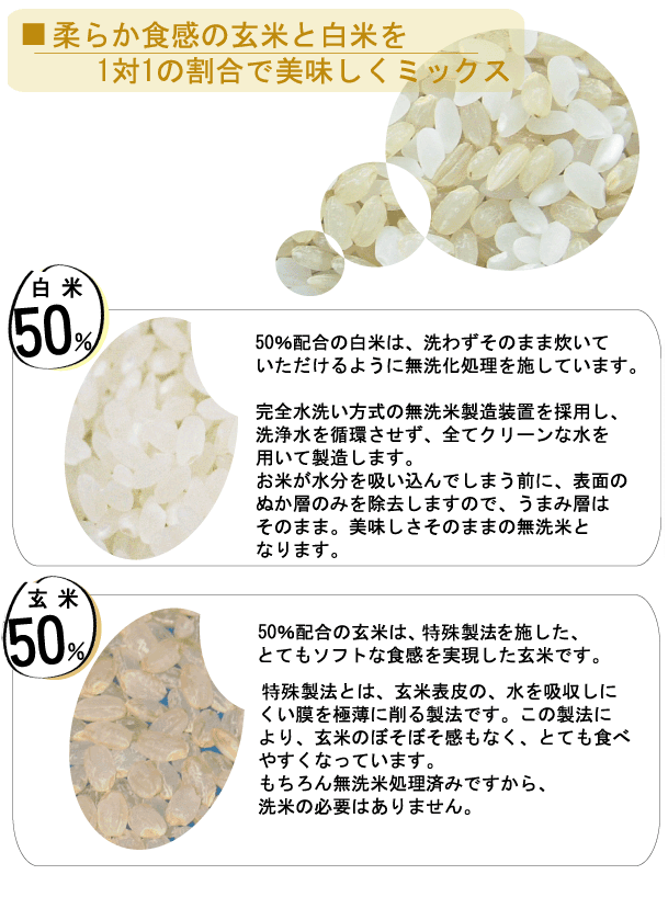 サンプル画像3