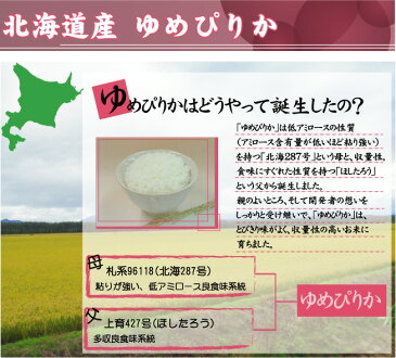 無洗米 特別栽培米 山形県産 つや姫 5kgと 無洗米 北海道産 ゆめぴりか 5kg 計10kg 【組み合わせセット】 令和元年産 送料無料 ★ Shop Of The Year 米大賞 ★ [北海道沖縄へは別途送料760円] 【コンビニ受取 コンビニ決済 後払い 可】