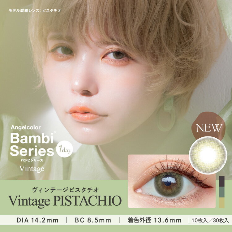カラコン ワンデー 度あり UVカット エンジェルカラー バンビシリーズ ヴィンテージ 益若つばさ DIA14.2mm BC8.5 1箱10枚入り