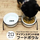 【 1日ポイント7倍 】アイアンスタンド付きフードボウル スタンド付き フードボウル 2口 2個セット 子犬 子猫 犬用 猫用 ペットボウル アイアンフレーム 高さがある 給水器 給餌器 お手入れ簡単 人気 プレゼント 送料無料プレゼント