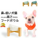 ダイヤモンドフードボウル 脚付 傾斜 フードボウル 陶器 食器 犬 猫 こぼれにくい ペット 高さ スタンド おしゃれ 食べやすい 高さがある えさ 餌皿 ペッ...