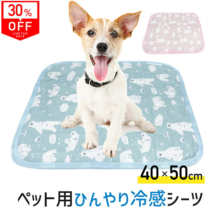  ߸˽ʬ 30%OFFCP 420ۥڥå Ҥ 䴶  ܿ䴶 䤿 ޥå 4050cm ä  ô  ...
