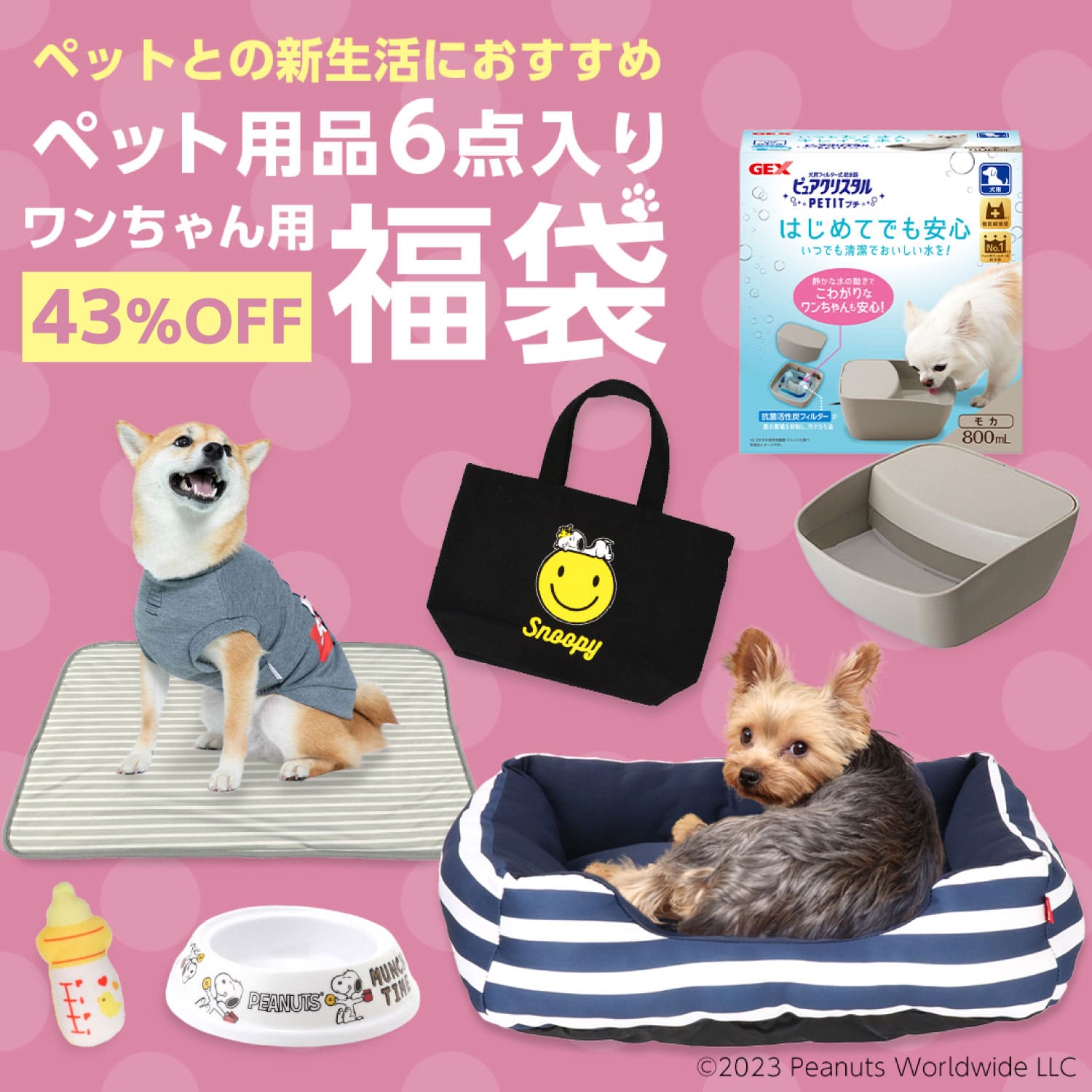 【11/25限定 P10倍】【43％OFF！限定30セット】わんちゃん用 3,300円 スターターセット 福袋 │ わんちゃんとの新生活に便利なアイテム6点入り お得なクーポン付き 何が届くかお楽しみ │犬 イヌ いぬ 犬用 ソファーベッド ペット ブランケット ベッド 新生活 食器 水飲み 器