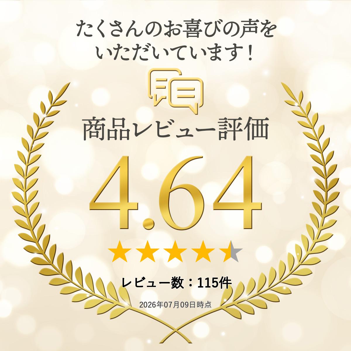 ＼楽天ランキング入賞／ [新品]AU/UQ Speed Wi-Fi HOME 5G L13 [ホワイト] ZTR02 【即納　楽天対応 SIMフリー