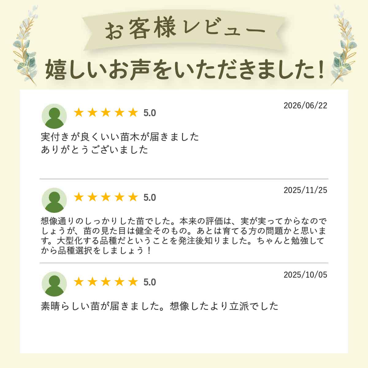 ��T-100�ۡʥΥӥꥹ�� �֥롼�٥꡼ �ޤ��� ���� 2ǯ�� ��ӥåȥ������ʼ� �̼���
