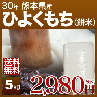 29年産 熊本県 もち米(ひよく餅) 5kg 送料無料 お餅、おこわ、おはぎに、ヒヨクモチ。粘り強い、西日本(九州産)の餅米です。一升餅のお餅にも。単一米のこがねもち ひよくもち をお探しの方に。 (あす楽 対応 通販)