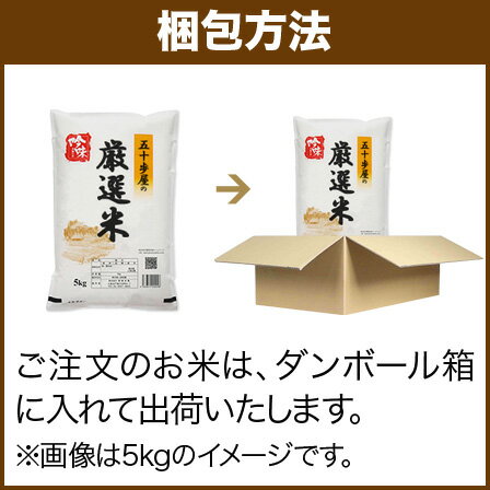 新米 もち米 5kg 送料無料 熊本県 ヒヨクモチ 令和元年(2019年)産 餅米