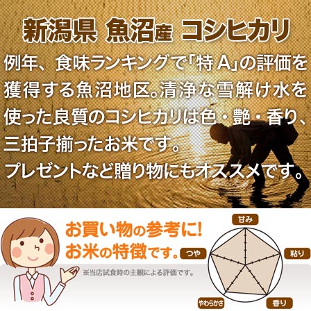 魚沼産コシヒカリ 2kg 送料無料 令和3年産 新潟県 魚沼産 コシヒカリ こしひかり(2021年 白米 特A 米 2キロ) 食べ比べサイズの お米